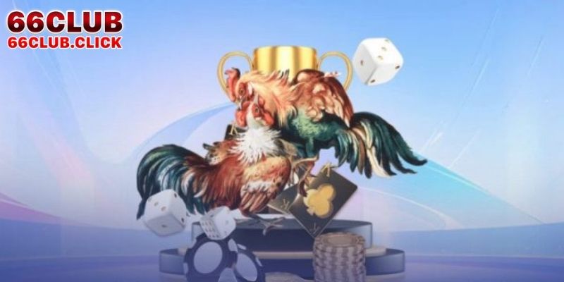 Bí Kíp Xem Ngày Chiến Kê Ra Trận